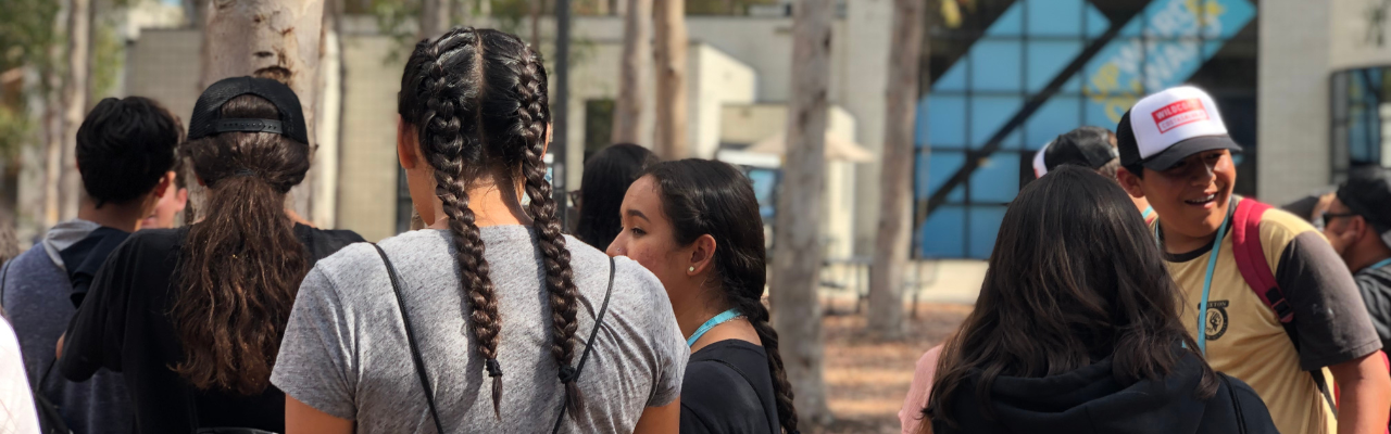 Picture of students facing away from camera.